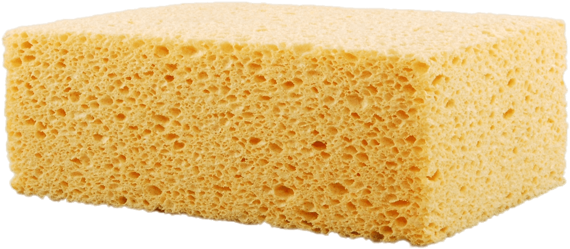 Sponge PNG