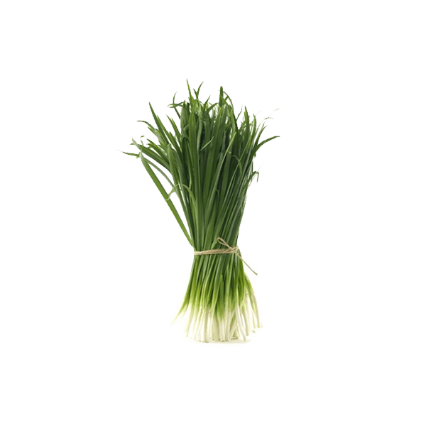 Spring onions PNG Clipart