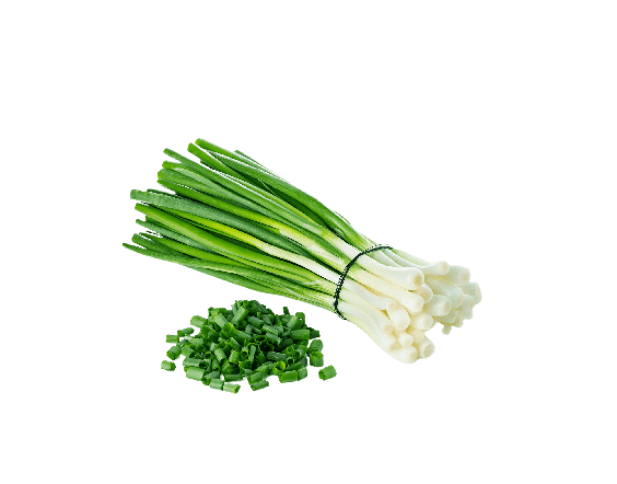 Spring onions PNG HD Isolated