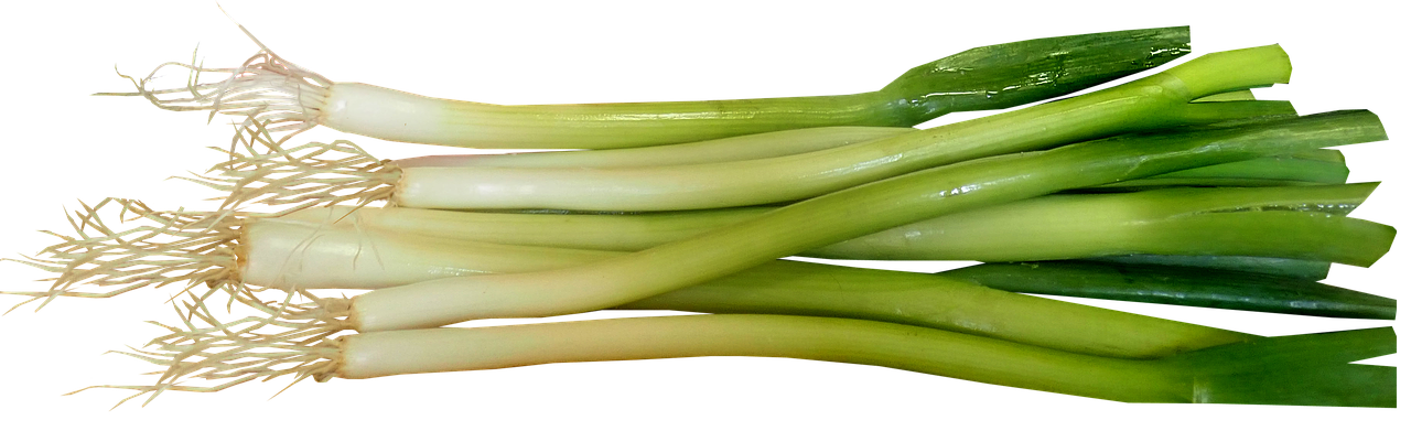 Spring onions PNG HD
