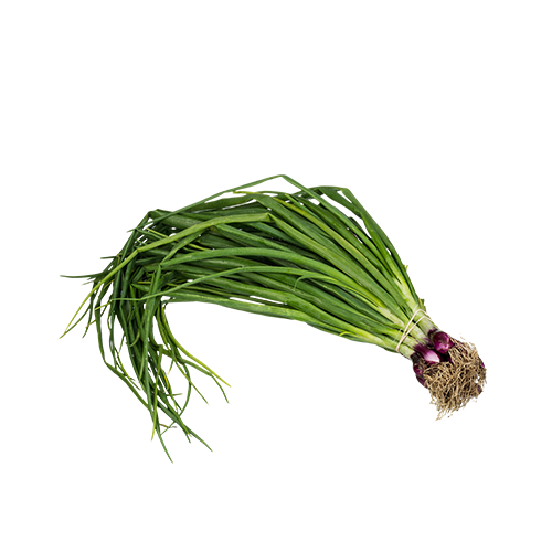 Spring onions PNG Isolated HD