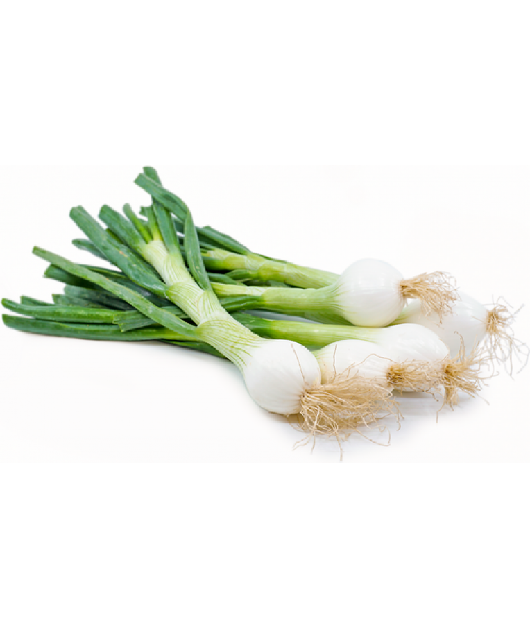 Spring onions PNG Isolated Pic