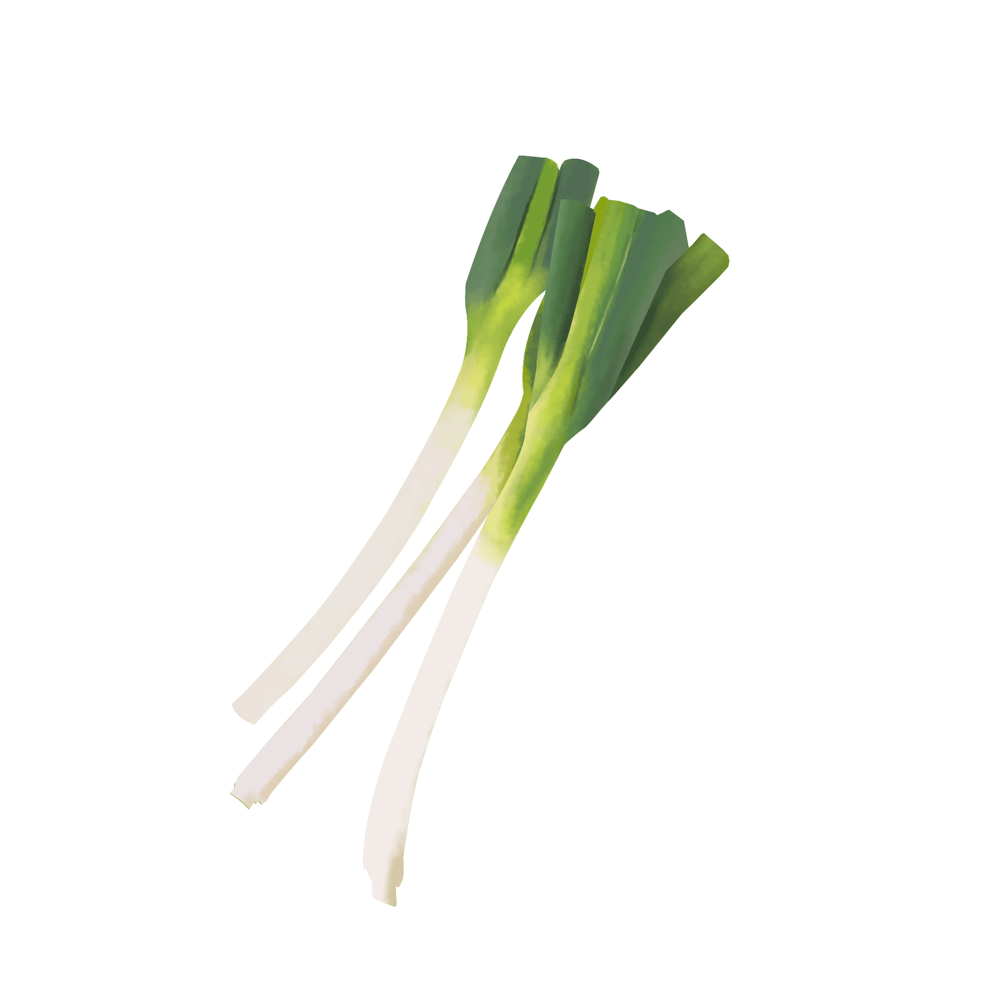 Spring onions PNG Photo