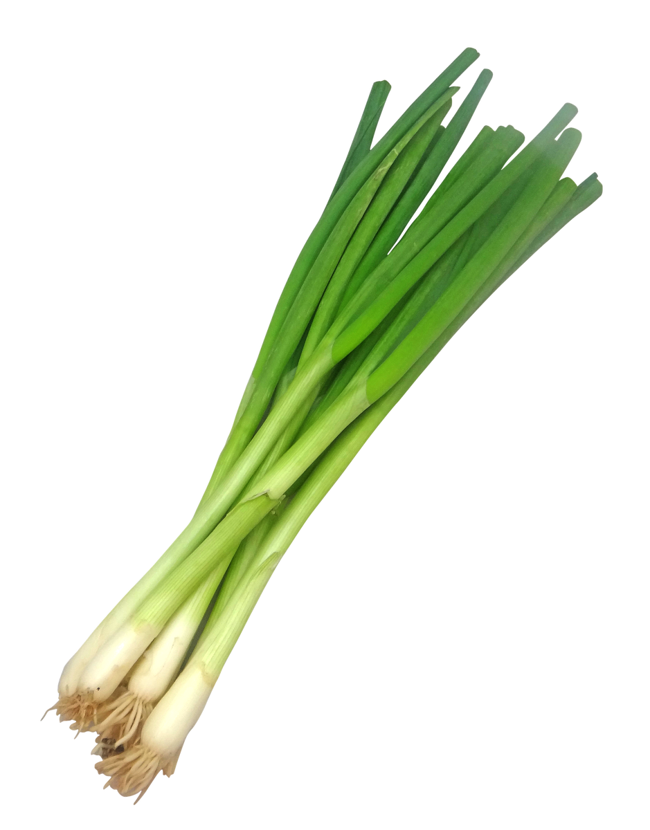 Spring onions PNG Pic