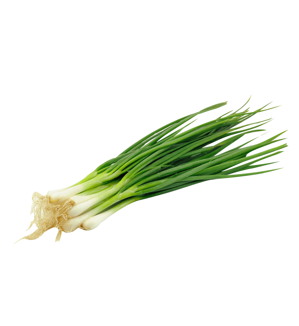 Spring onions PNG Picture