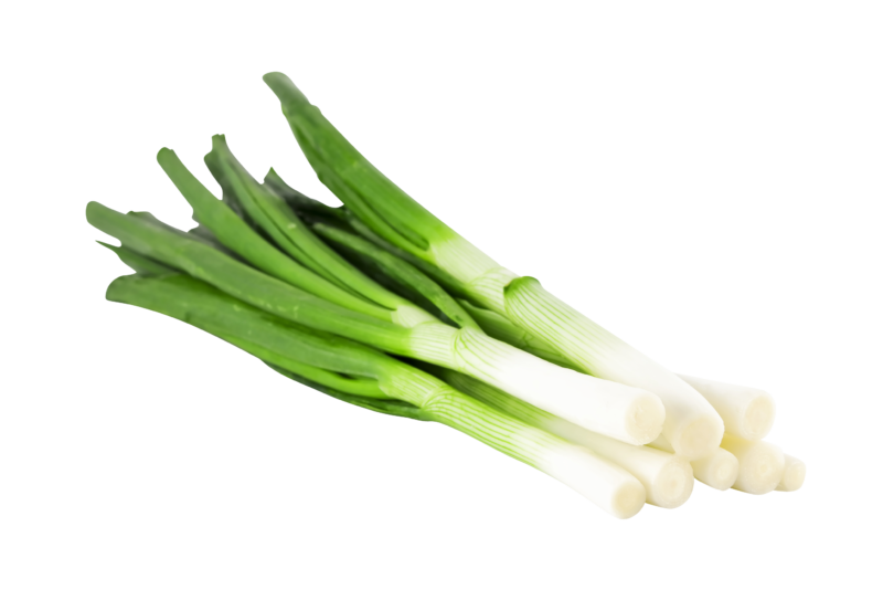 Spring onions PNG Transparent