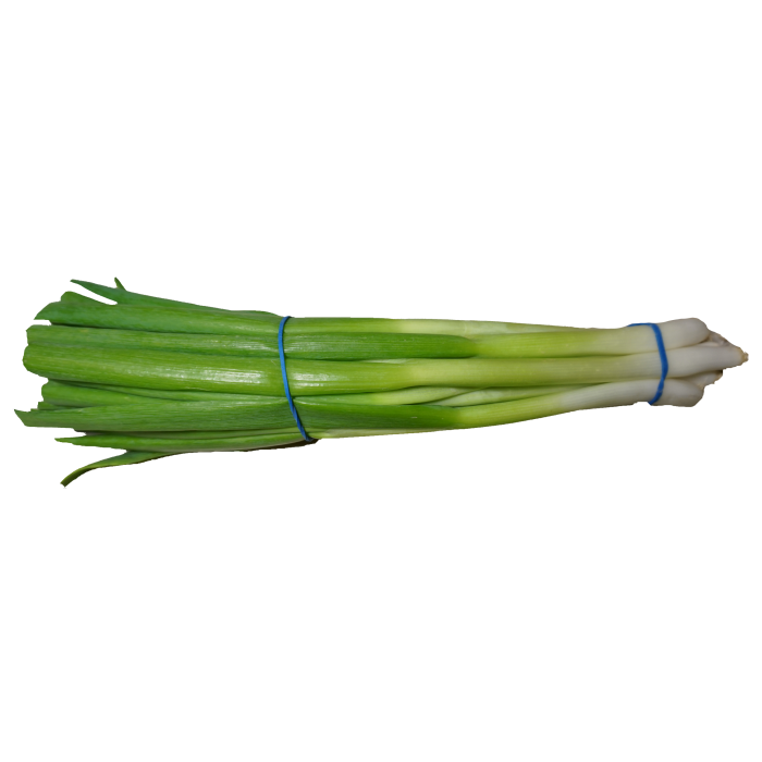 Spring onions Transparent PNG
