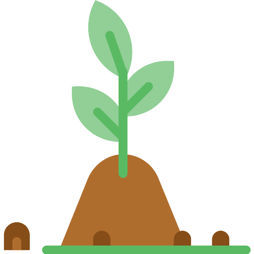 Sprout PNG Isolated Clipart
