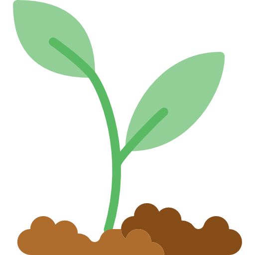 Sprout PNG Isolated Image