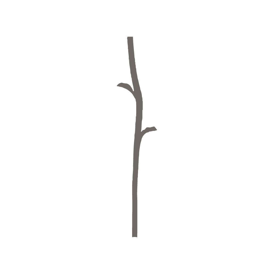 Stalk PNG Isolated Image