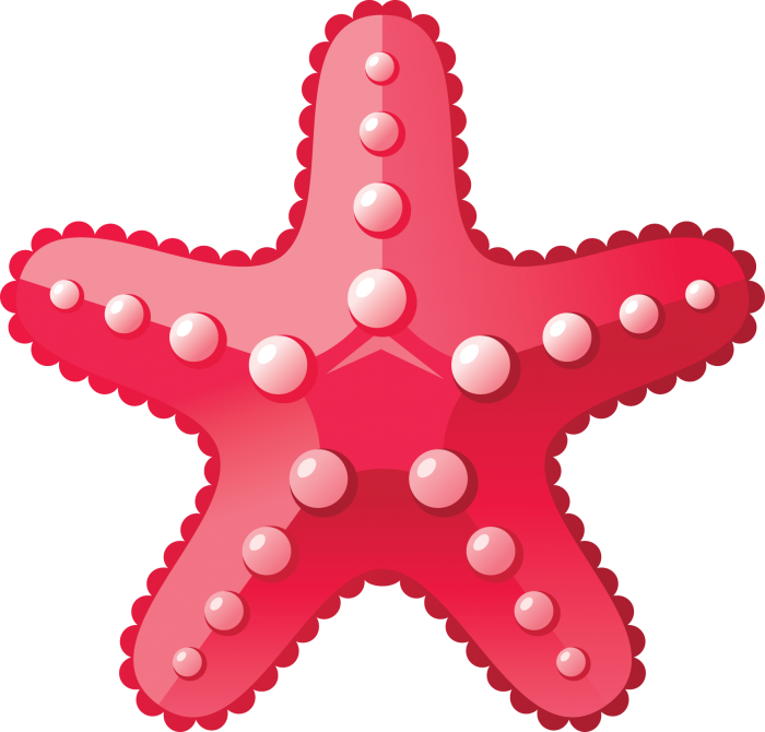 Starfish PNG Background Image