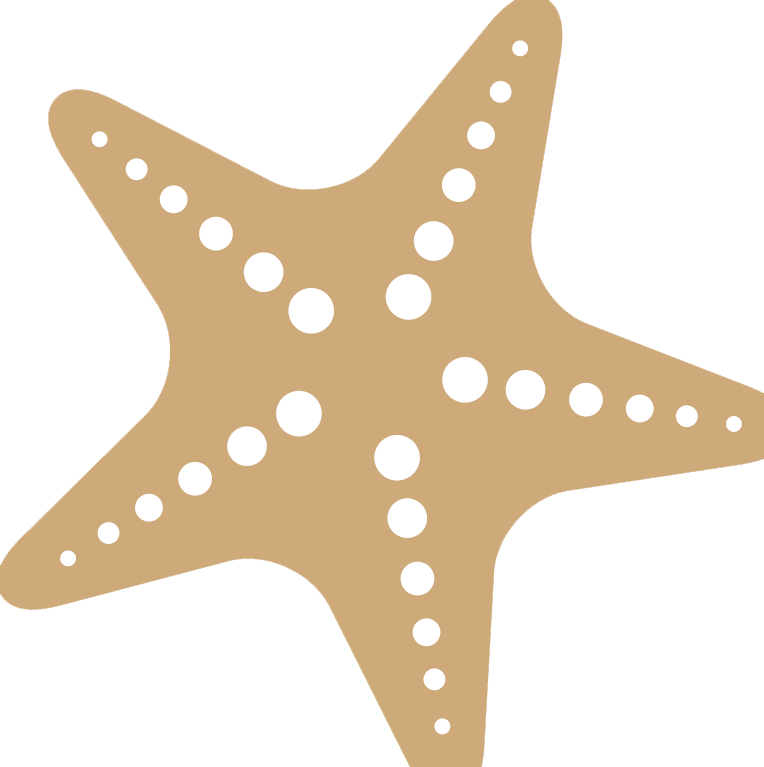 Starfish Transparent Background