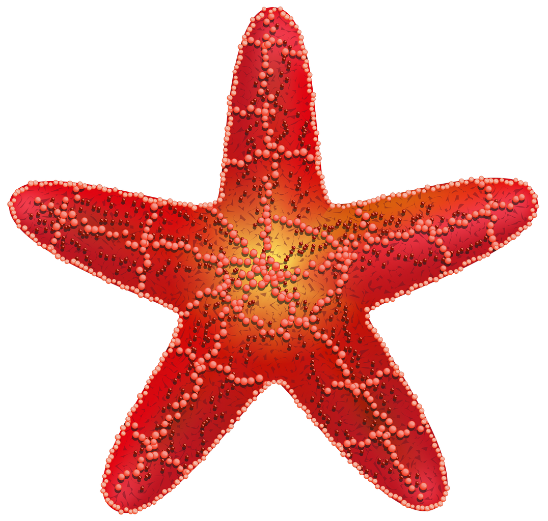 Starfish Transparent Isolated Background