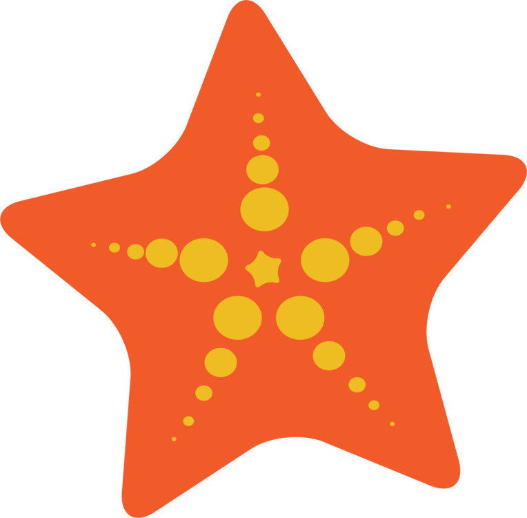Starfish Transparent Isolated PNG