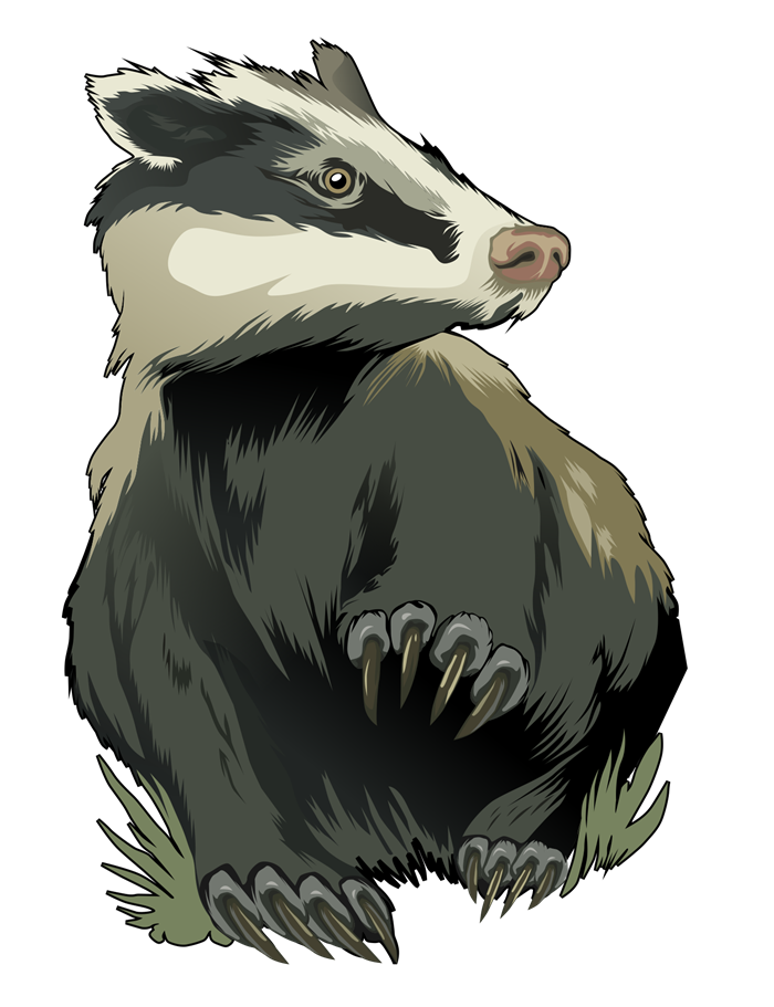 Stink Badgers PNG Isolated Image