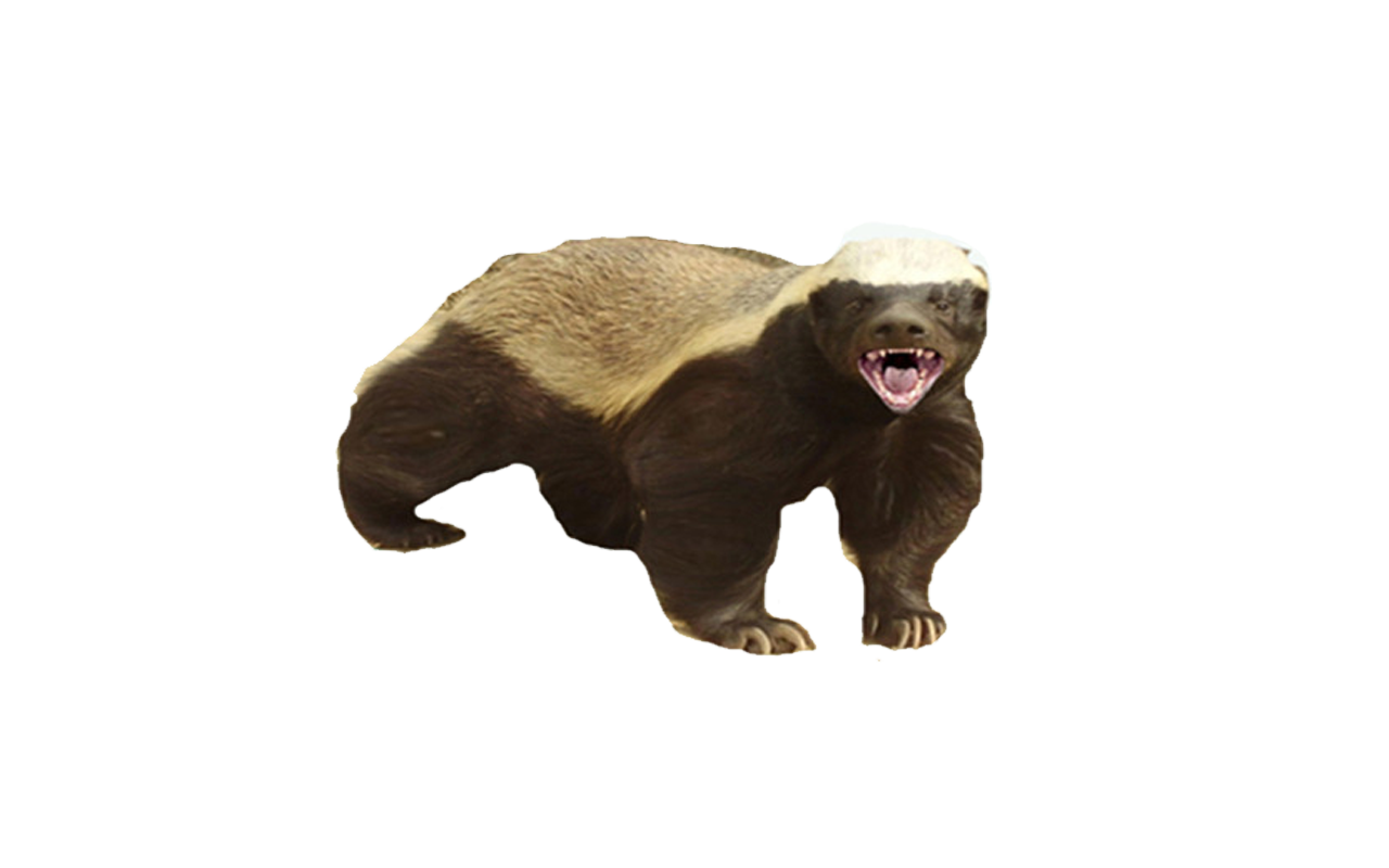 Stink Badgers PNG Isolated Pic