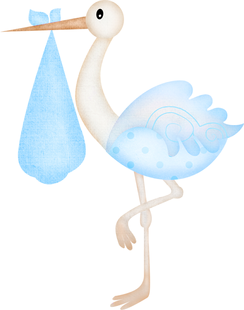 Stork PNG Isolated Picture
