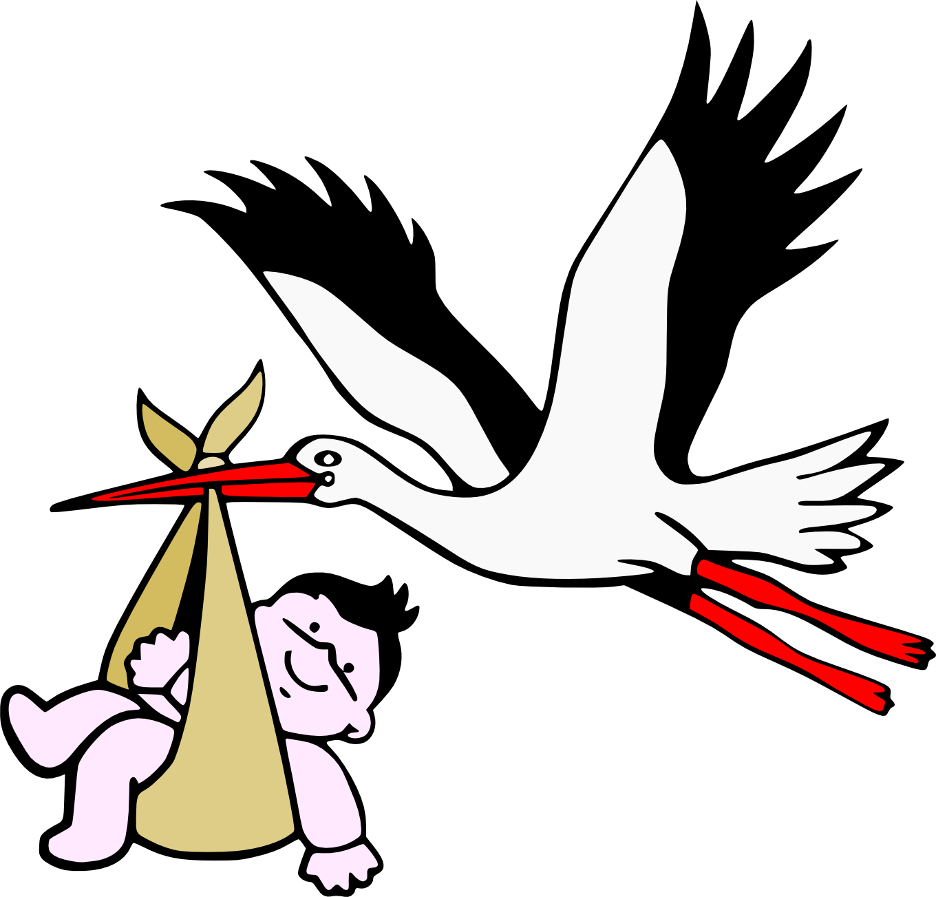 Stork PNG Isolated Transparent