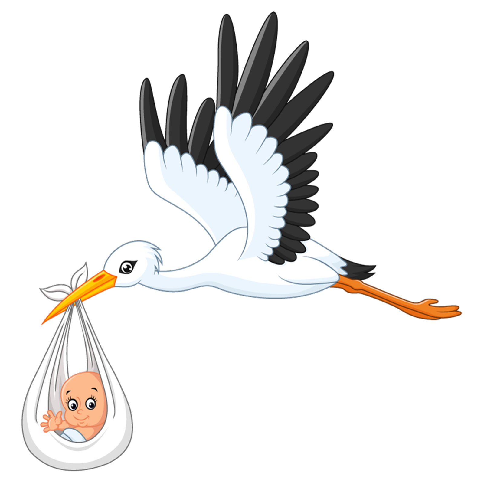 Stork Transparent Isolated PNG