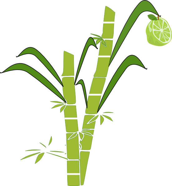 Suger Cane PNG Isolated HD