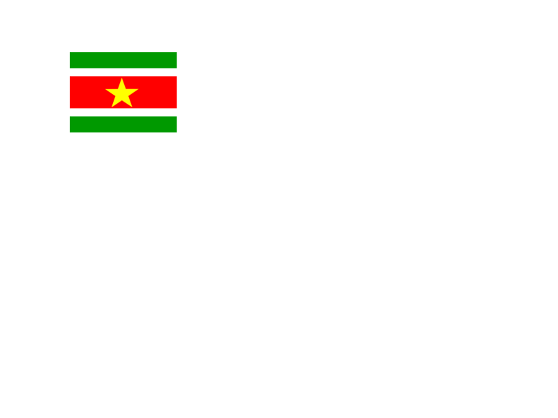 Suriname Flag PNG Isolated Image
