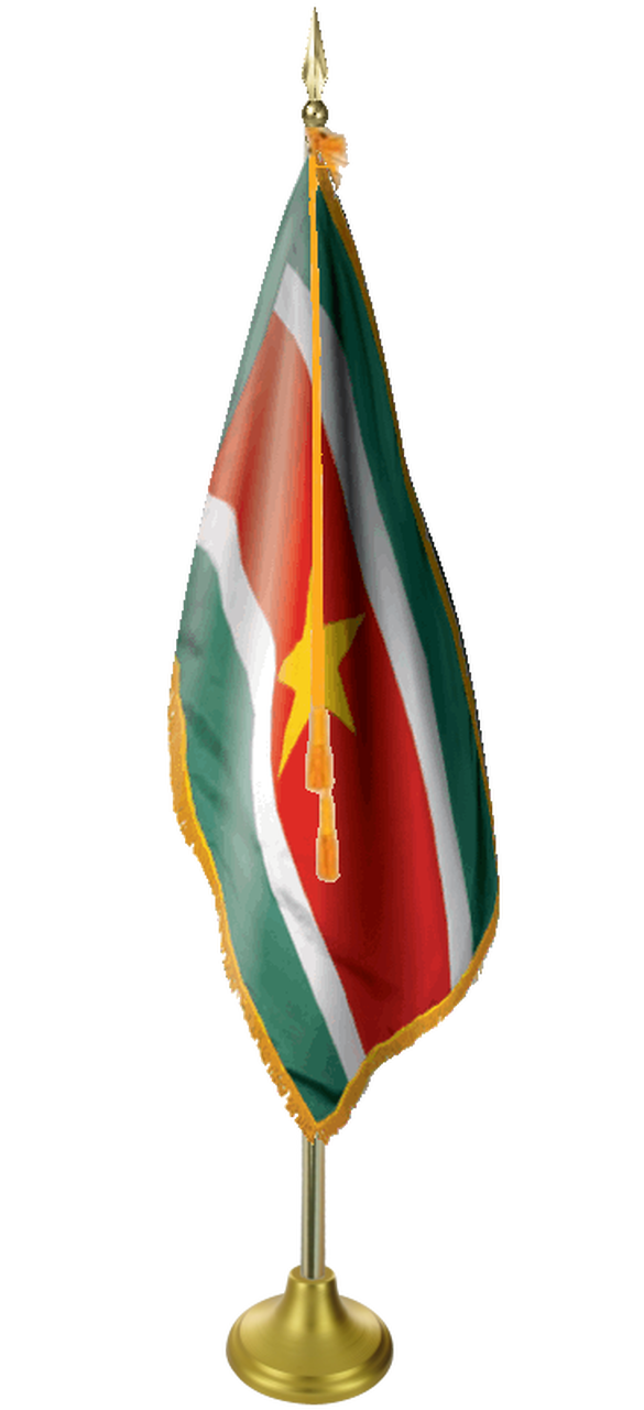 Suriname Flag PNG Photos