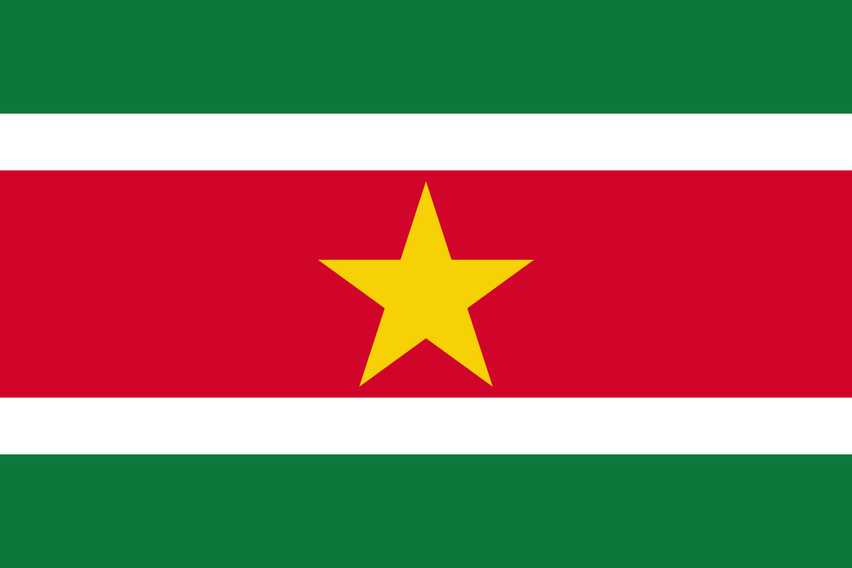 Suriname Flag PNG Pic
