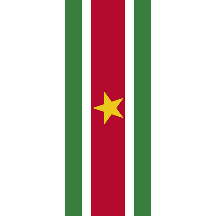 Suriname Flag PNG Picture