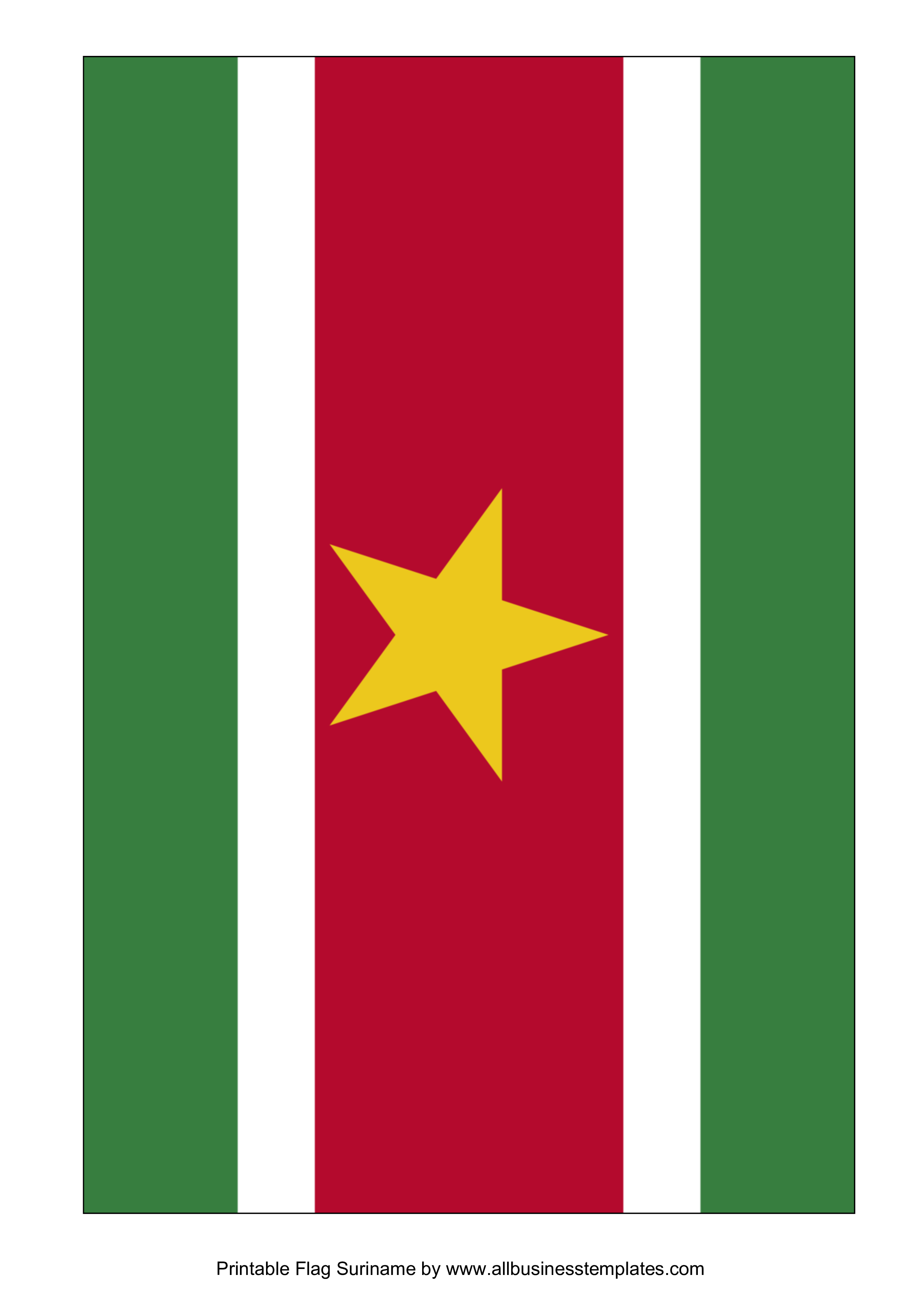 Suriname Flag Transparent PNG