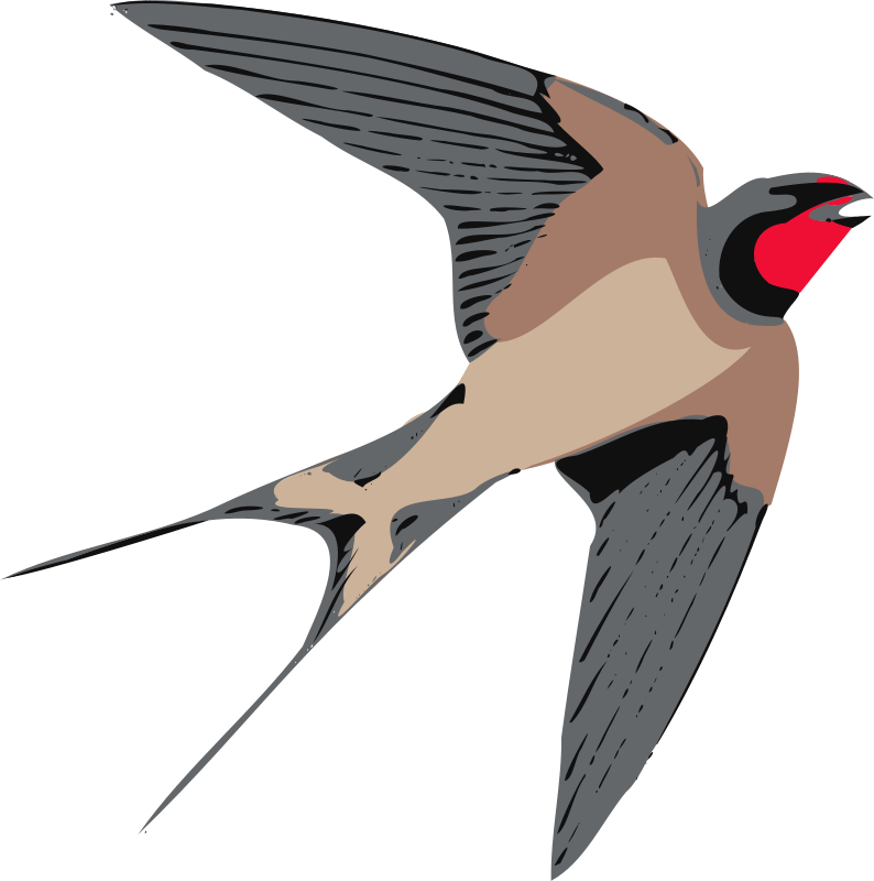 Swallow PNG Clipart
