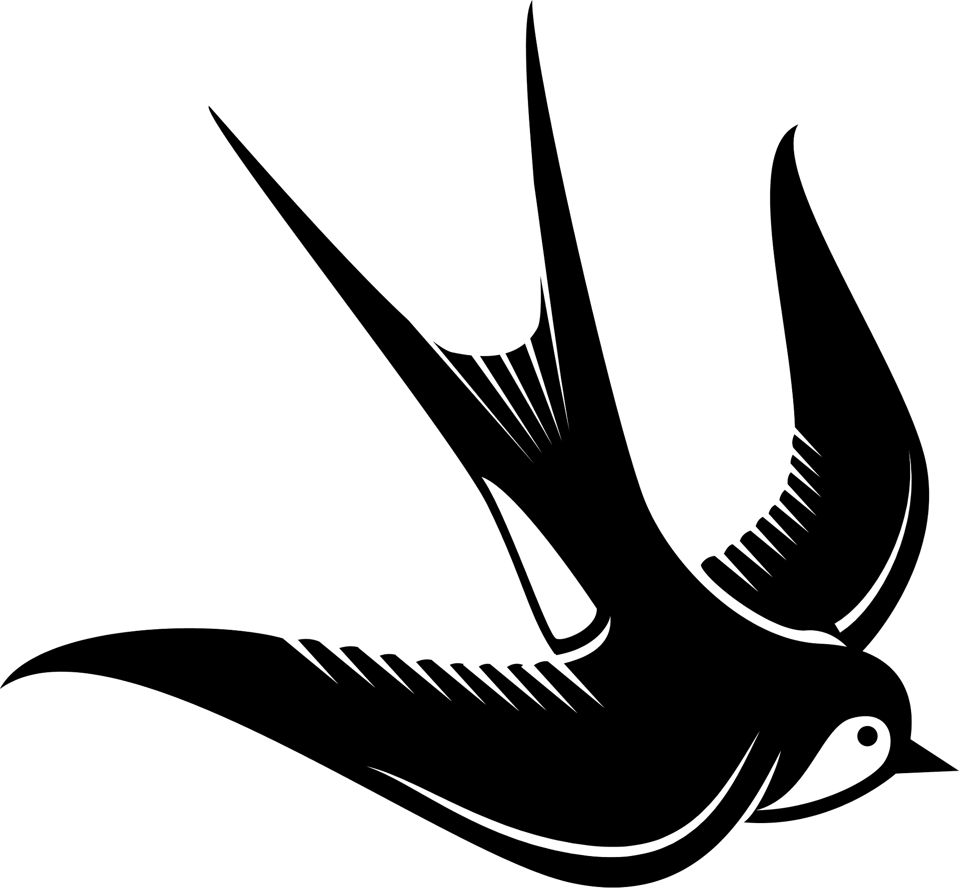 Swallow PNG Isolated Clipart