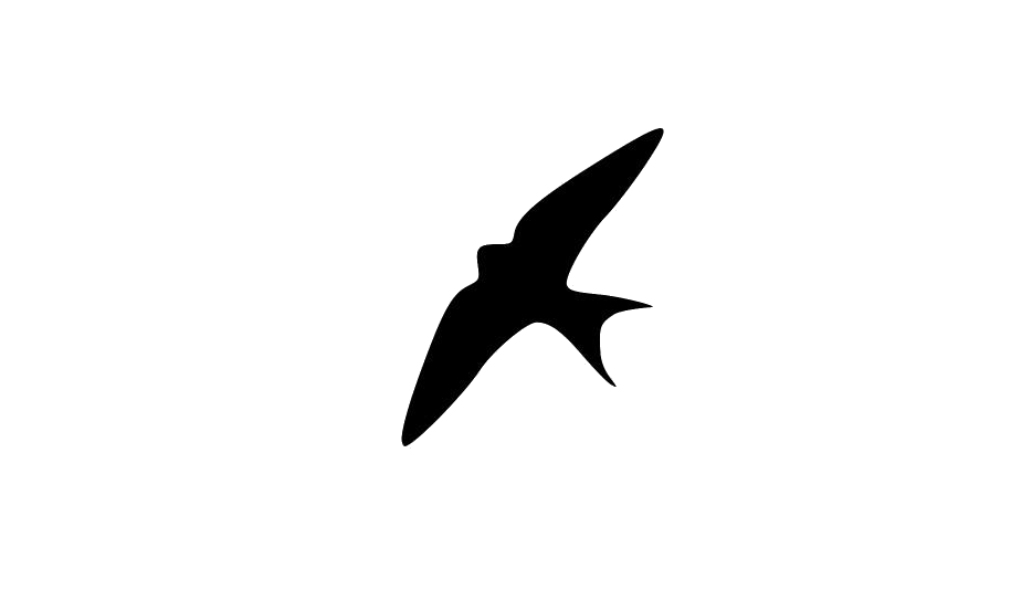 Swallow PNG Isolated Pic