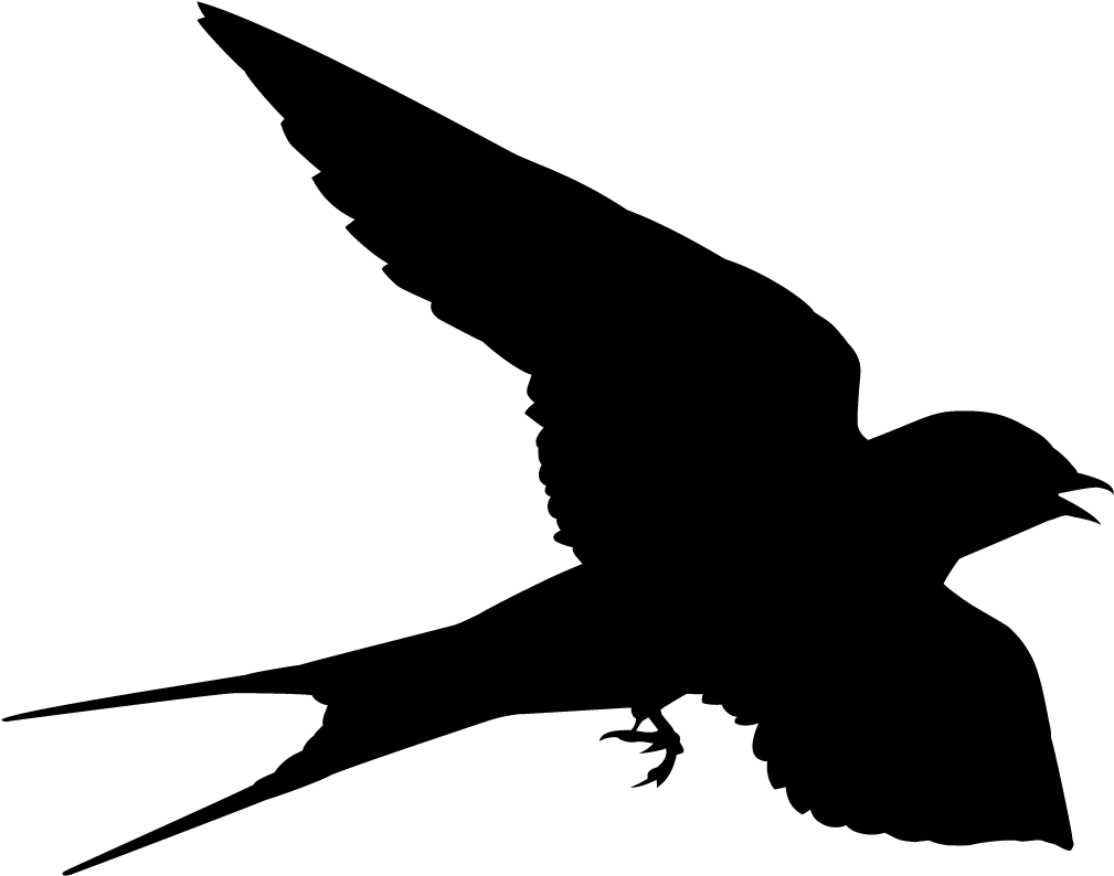 Swallow PNG Isolated Transparent Picture