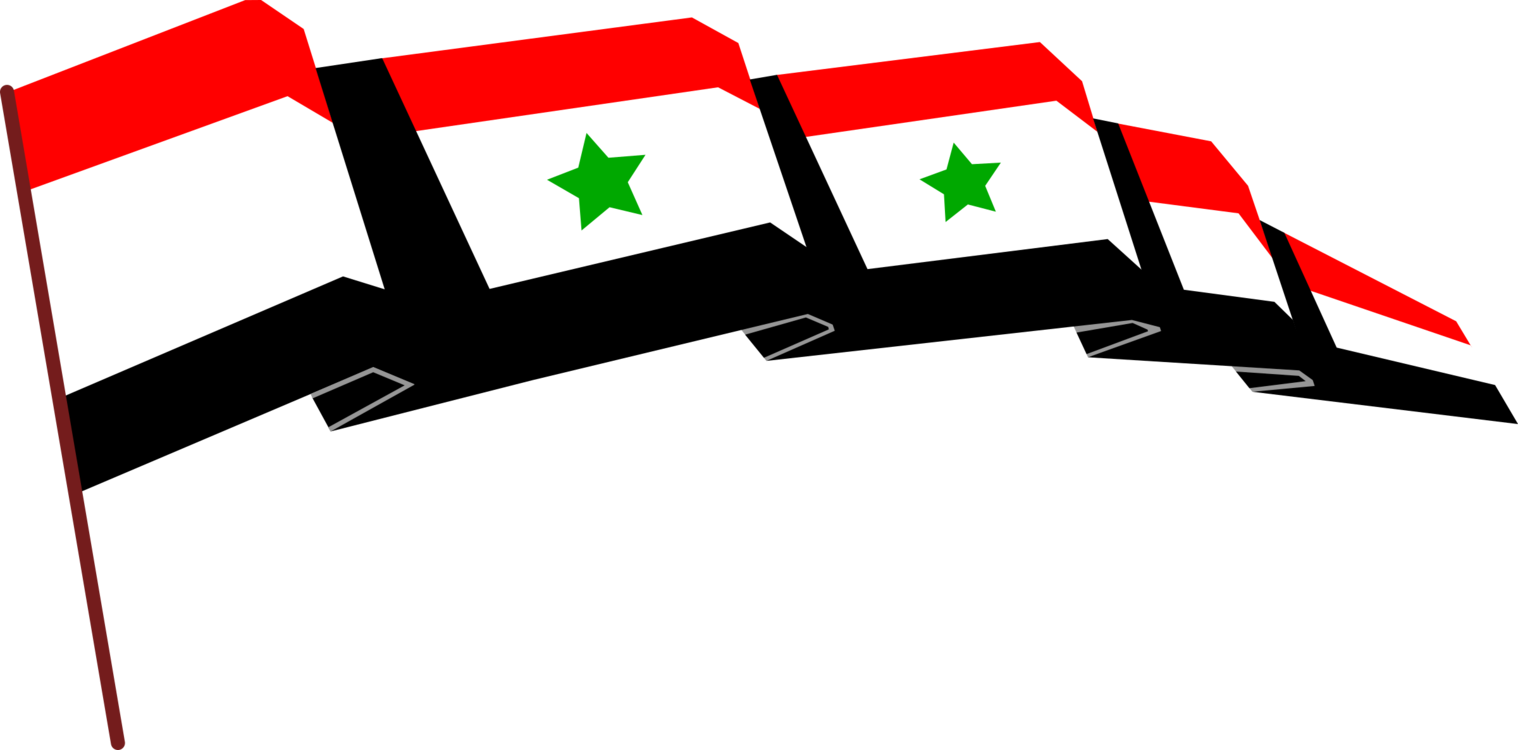 Syria Flag PNG Isolated Photo