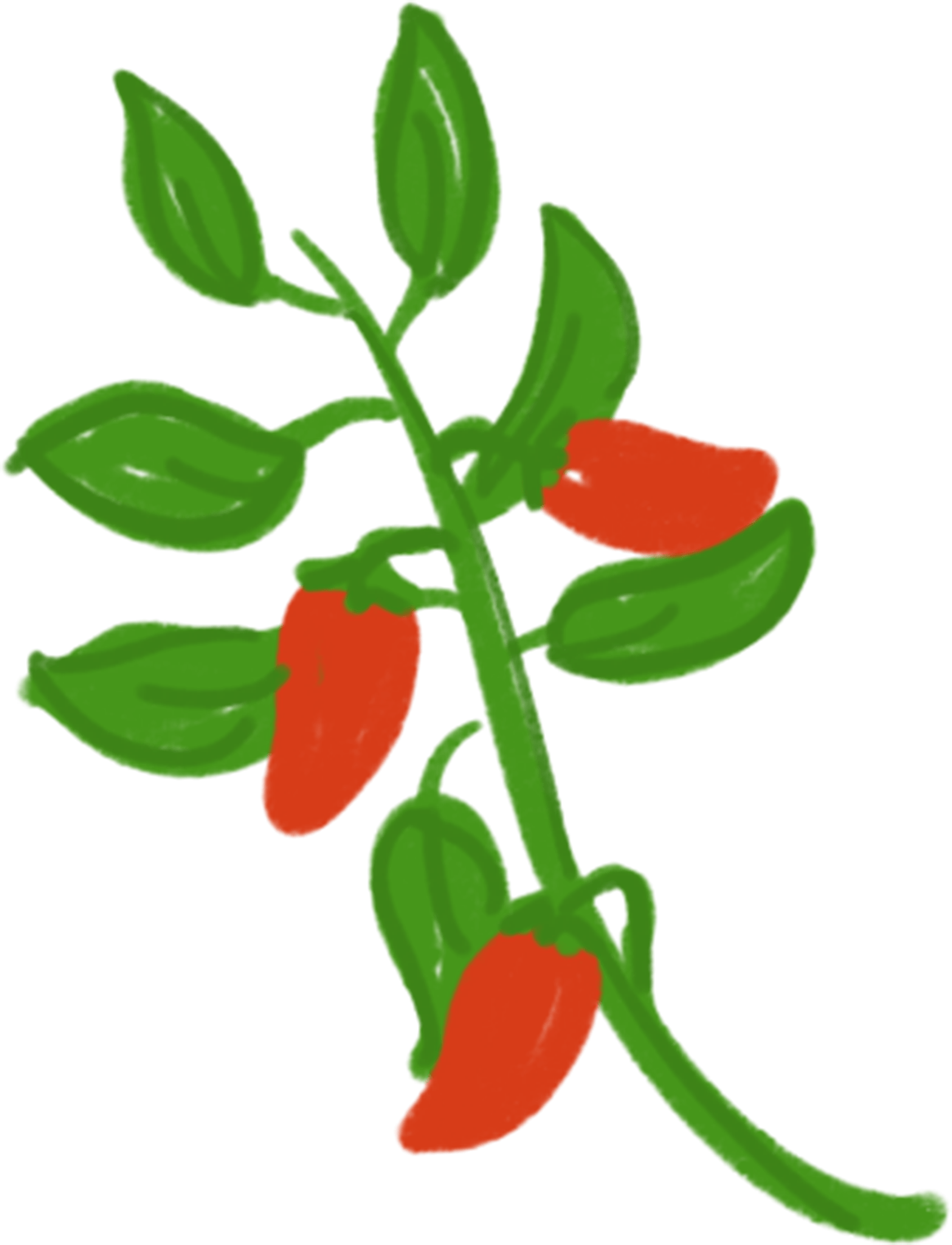 Tabasco PNG Isolated Picture
