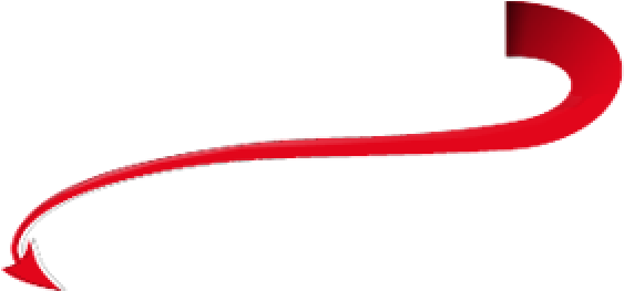 Tail PNG Image