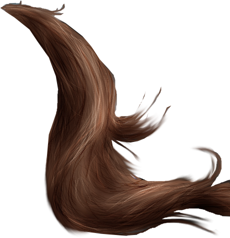 Tail PNG Isolated Photo