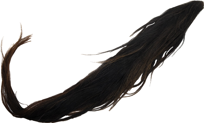 Tail PNG Isolated Photos