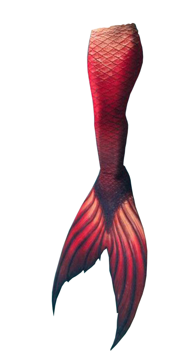 Tail PNG Isolated Pic