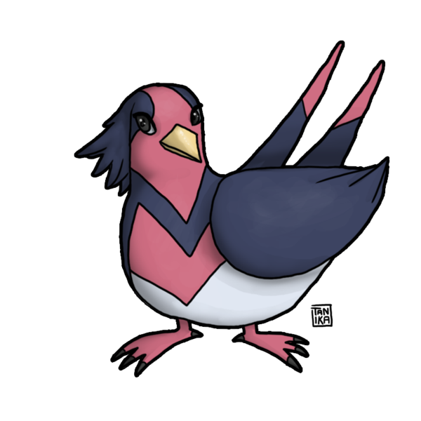 Taillow Pokemon PNG Pic