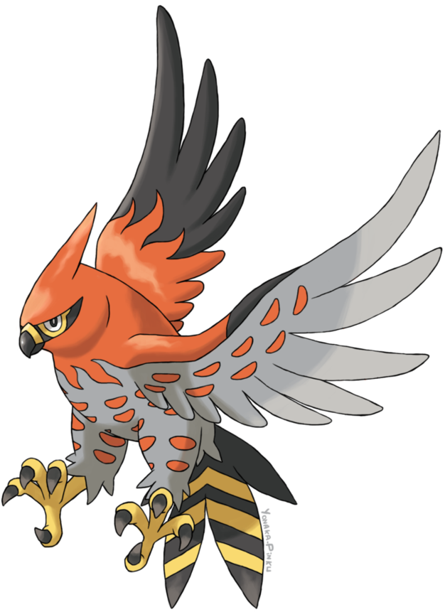 Talonflame Pokemon PNG Background Image