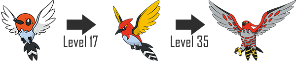 Talonflame Pokemon PNG Picture