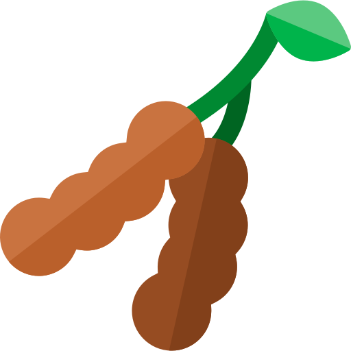 Tamarind PNG Isolated HD