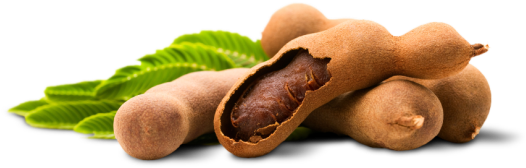 Tamarind PNG Isolated Photo