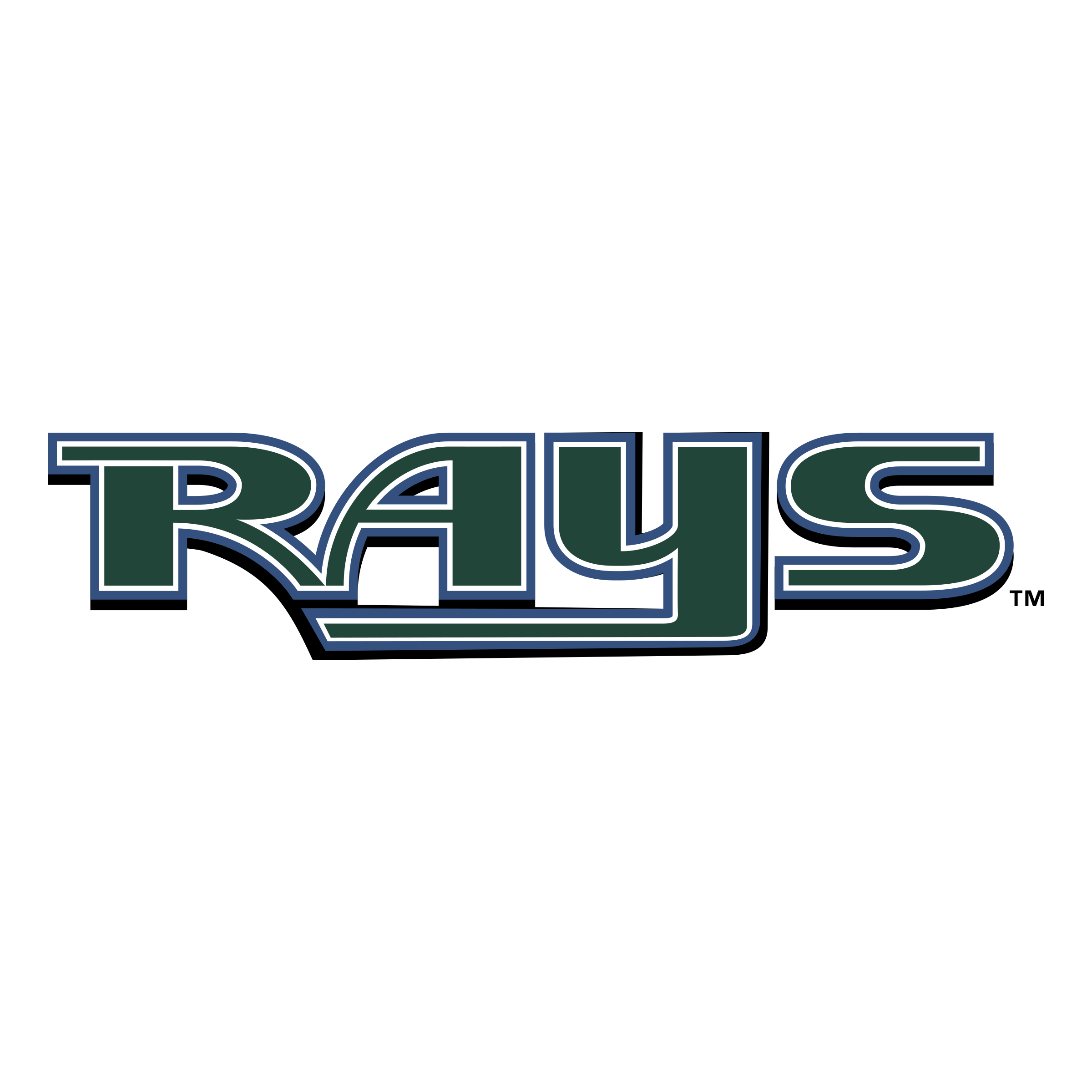 Tampa Bay Rays PNG