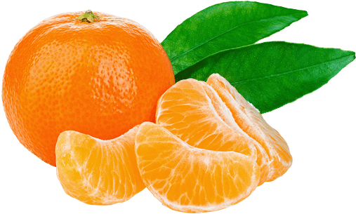 Tangerine PNG Isolated Photos