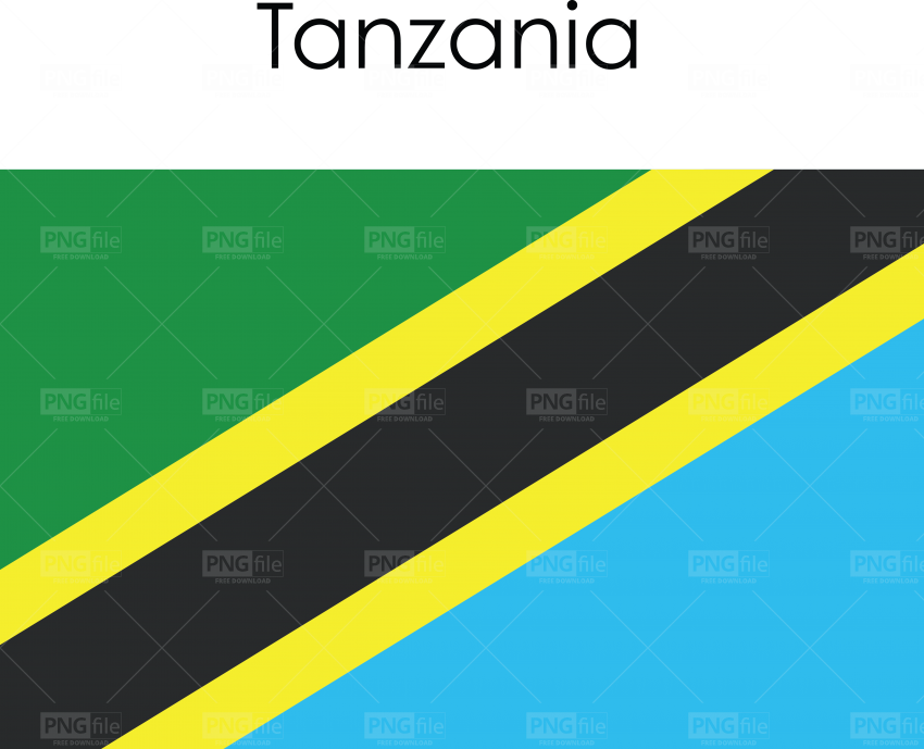 Tanzania Flag PNG Pic