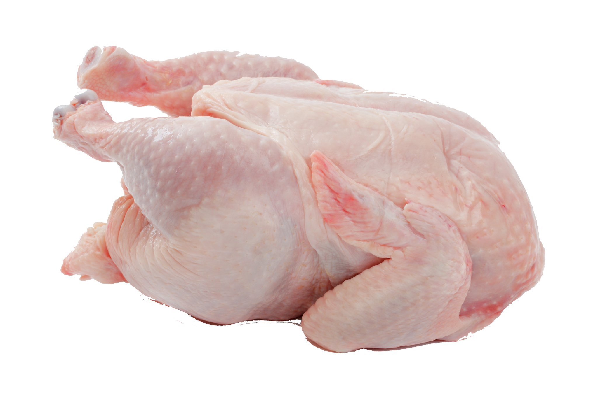 Thanksgiving Turkey Meat Download PNG Image