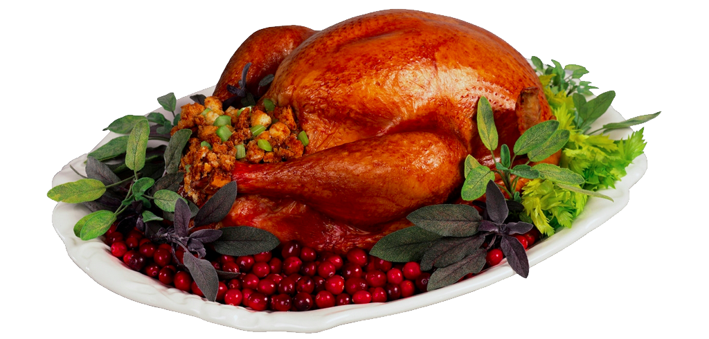 Thanksgiving Turkey Meat PNG Free Download