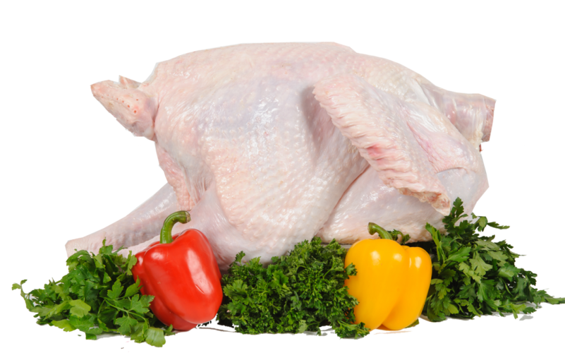 Thanksgiving Turkey Meat PNG Image